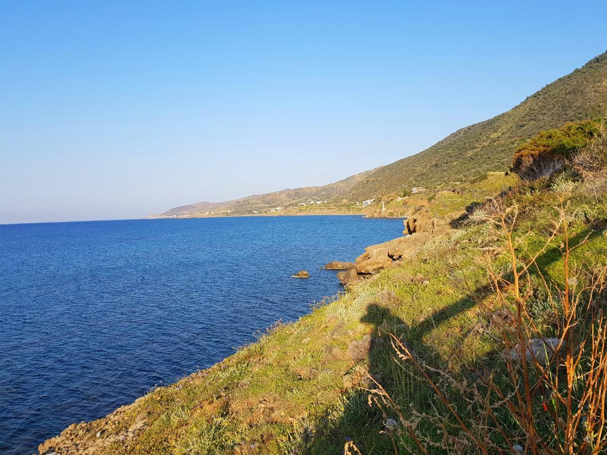 Seaclusion Vacation * Помос